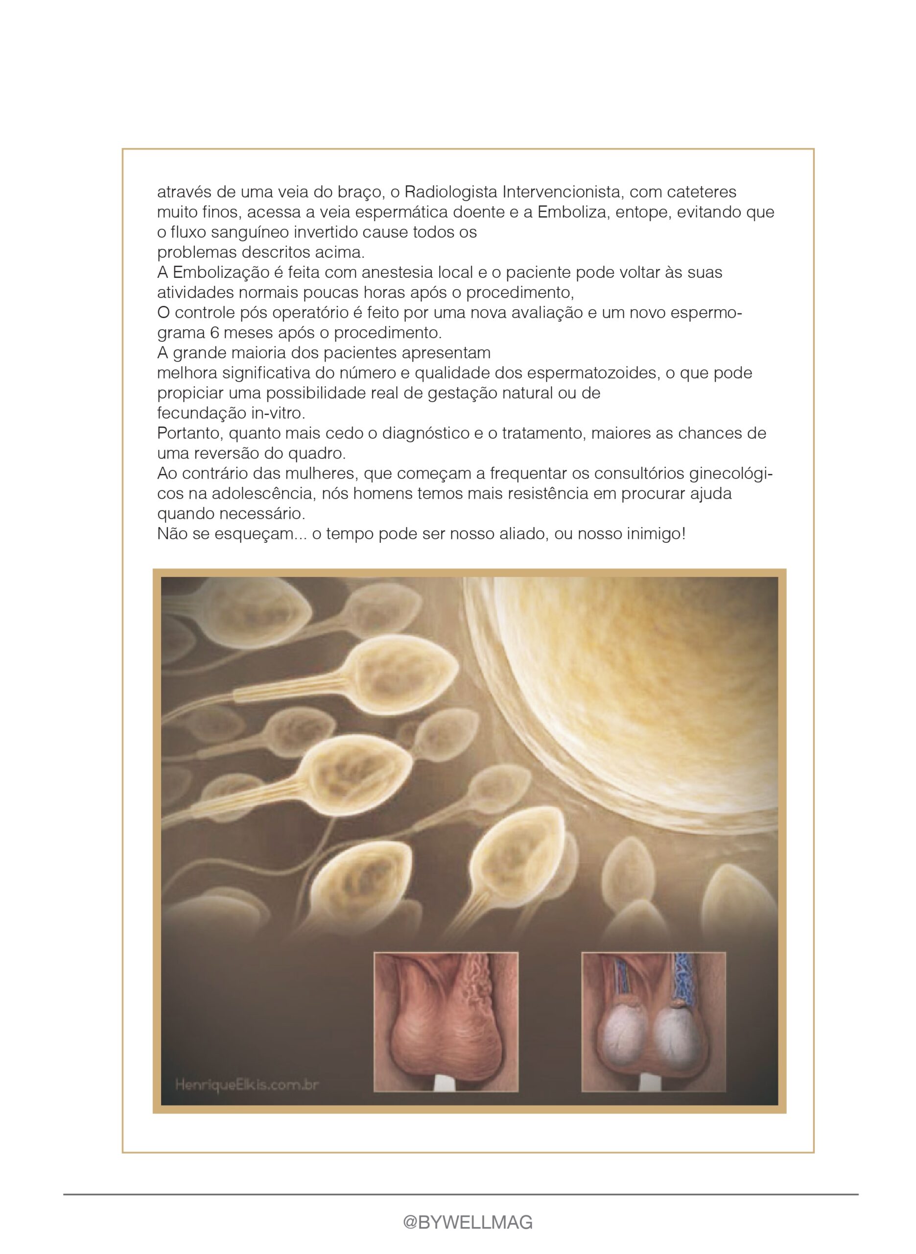 EDICAO 36 ok page 0002 scaled